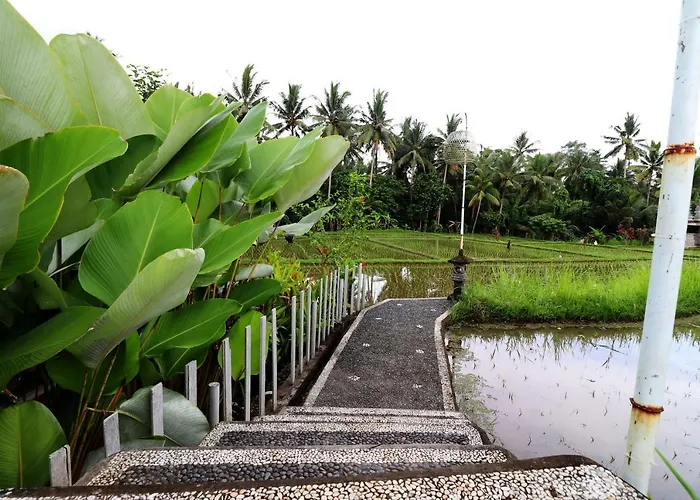 Villa Tirta Padi 2 Ubud
